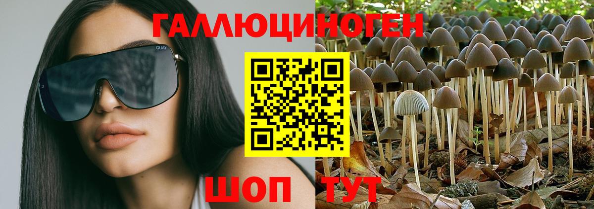 Карталы  Псилоцибиновые грибы Psilocybine cubensis  Вход с VPN 